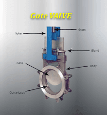 GATE VALVE